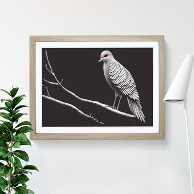 Alluring Dove Bird - Single Picture Frame Print