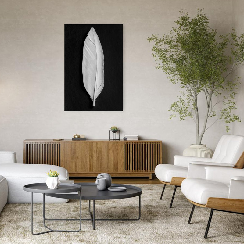 Elegant White Feather Delicate Elegant Minimalist Bird Nature Wall Art Print by Pictufy Studio III - Wrapped Canvas Print