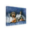 Publicité rétro sur toile tendue Adelphi «Canvas» Dachshund New Years »-26108465