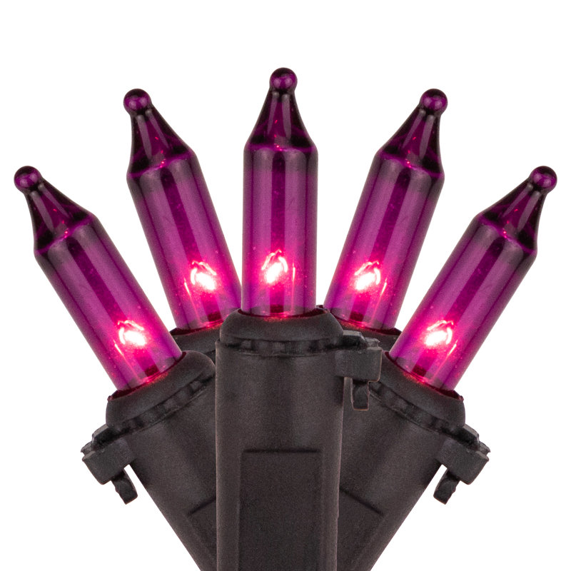 100-Count Mini Christmas Light Set 20.25ft Wire, Purple/Black
