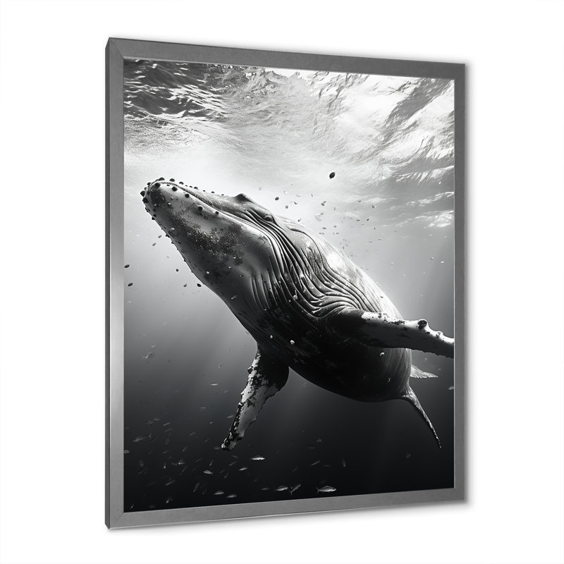 Whale Dance II - Whale Animal, art mural, H 32 po x l 16 po x P 1 po, Cadre photo argenté