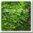 Moss Pillow Bun Cushion - 0.44lb