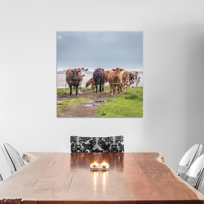 Troupeau de vaches de pâture, islande, reproduction de photo sur toile tendue, H 18 po x l 18 po x P 1,5 po, Pas de tapis