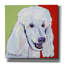  «Jackson» par Pat Saunders, art mural en toile blanche, 12 po x 12 po-306930487