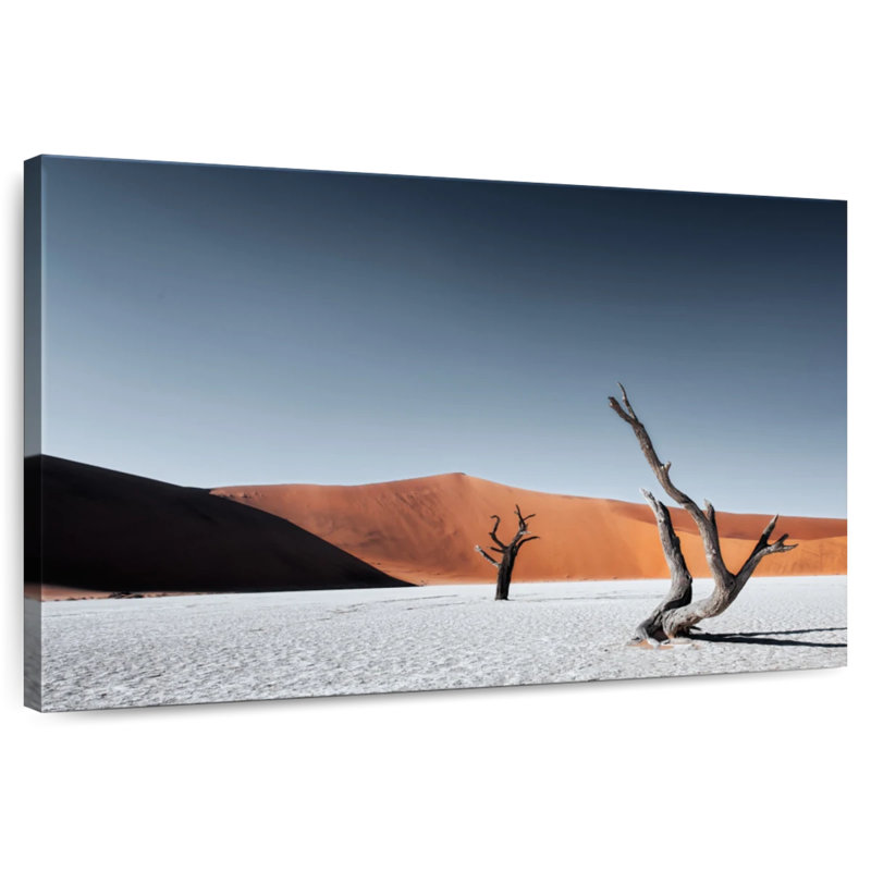 Dunes de sable d'Alvord, H 20 po x l 30 po