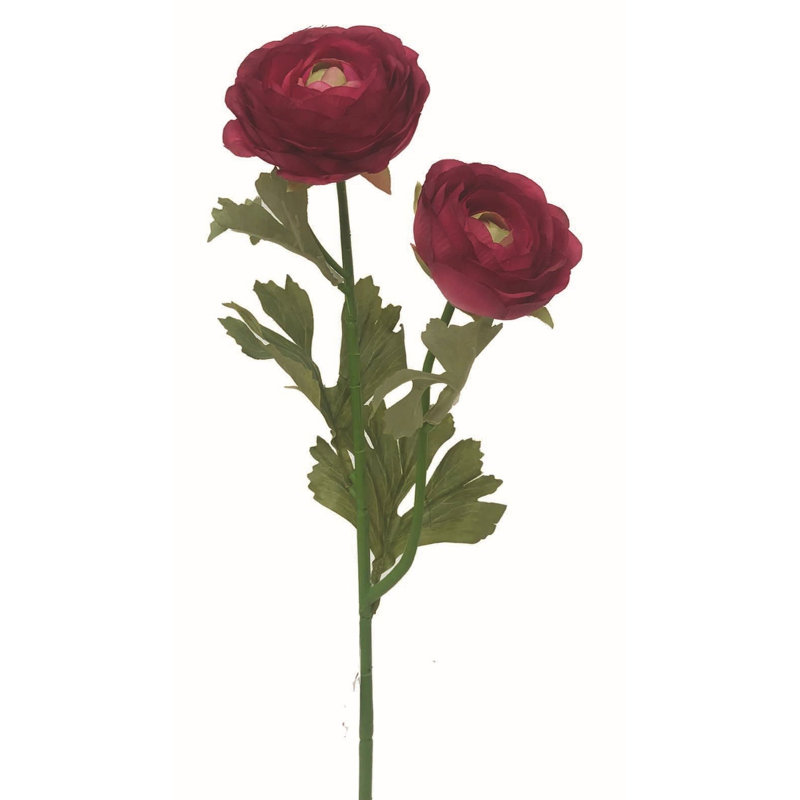 Ranunculus Arrangement, Dark Wine