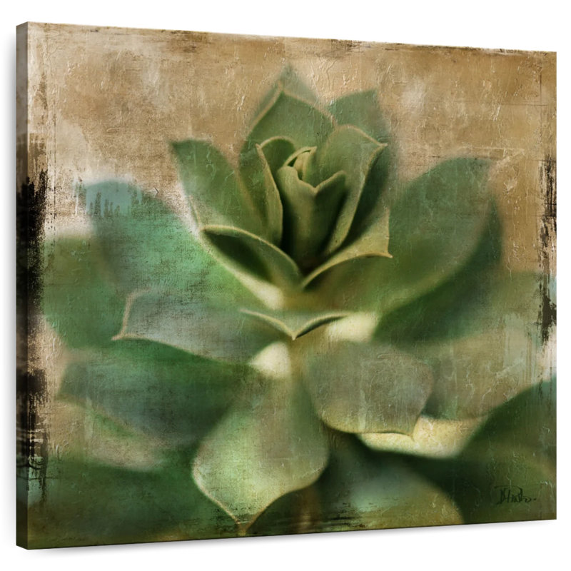 Harnek Succulent I, 39" H x 39" W