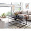 Kitten Frame Coffee Table with Storage