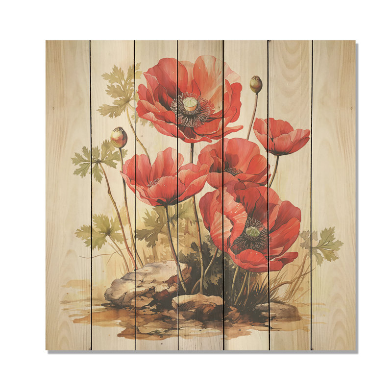Red Serene Poppy Meadows II - Poppy On Wood Print, 36" H x 36" W