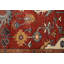 Tapis rouge Jules Sultane 9 pi 11 po x 13 pi 11 po