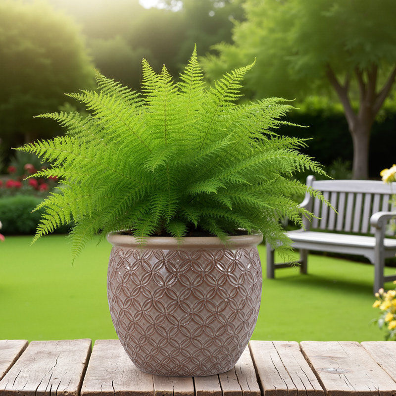 15" Outdoor Indoor Ceramic Pot Planter Decorative Planter with Drainage Hole Modern Patio Flower Pot for Garden Living Room Set of 3
