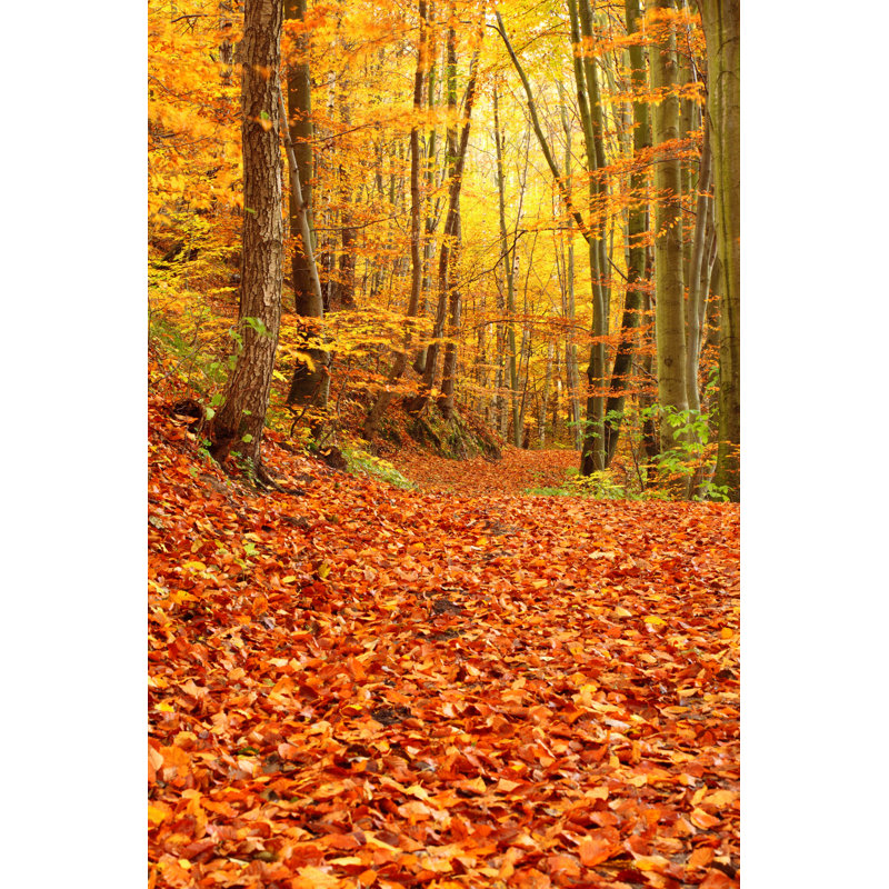 «Autumn Forest» par Lsaloni - impression sur toile tendue, L 24 po x H 36 po
