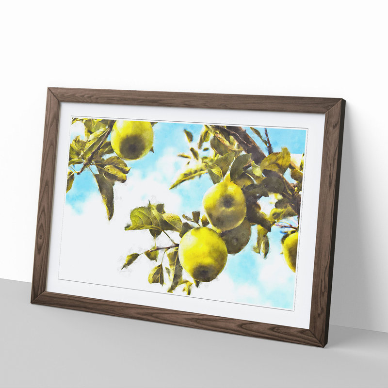 The Apple Tree - Picture Frame Graphic Art, 36cm H x 48cm W x 2cm D, Walnut