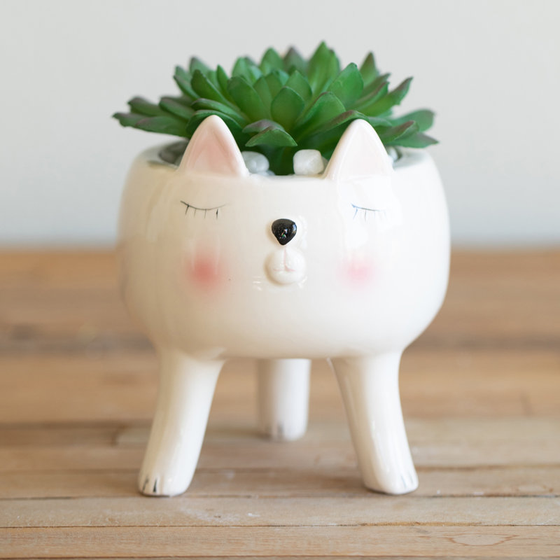 Ceramic Pot Planter