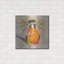 Red Barrel Studio® «Hope II» par St. Hilaire Elizabeth, art mural en métal