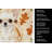 Cream Chihuahua Heirloom Fall Kitchen Towel-1218231309