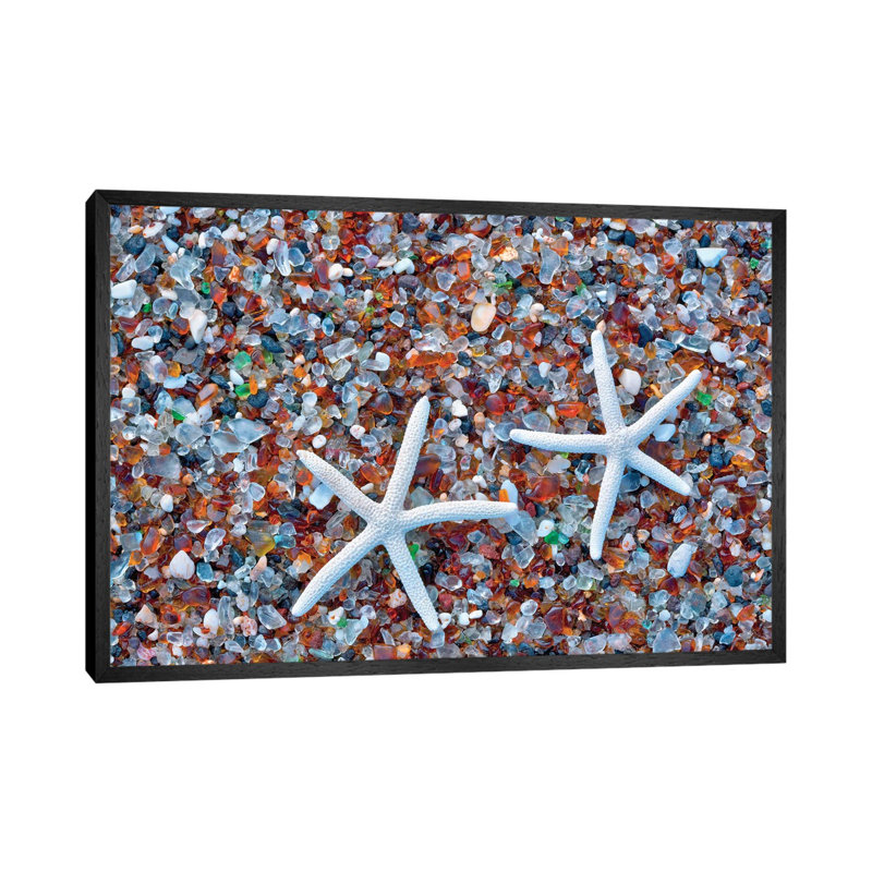 Glass Beach Starfish by Dennis Frates - Print on Canvas, 66.04cm H x 101.6cm W x 3.81cm D, Black Framed