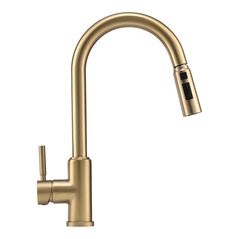 Belfry Kitchen Pull Out Kitchen Faucet