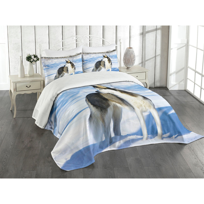 Queen Black Quilted Bedspread Set with Husky Design