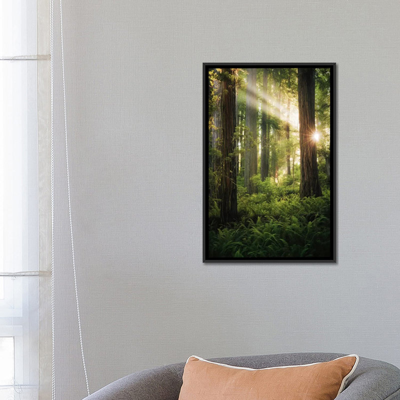 « goblins », reproduction de photo sur toile, H 26 po x l 18 po x P 1,5 po, Toile avec cadre flottant noir, Pas de tapis