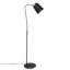 Dodo Task Floor Lamp