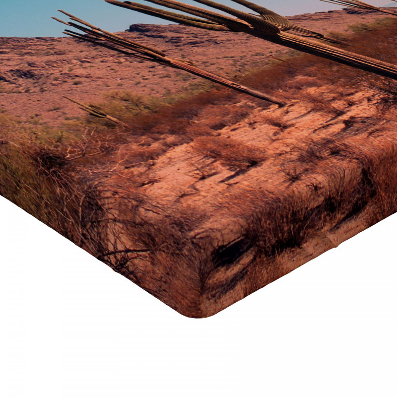 Drap-housse Saguaro, Drap-housse grand