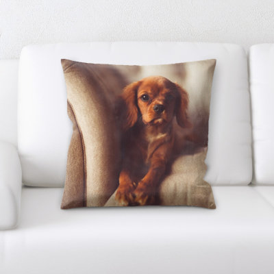 Coussin adorable