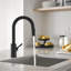 Pull Down Spray Single Lever Kitchen Tap-150585353