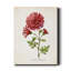 «Botanical III», impression sur toile tendue-1268125343