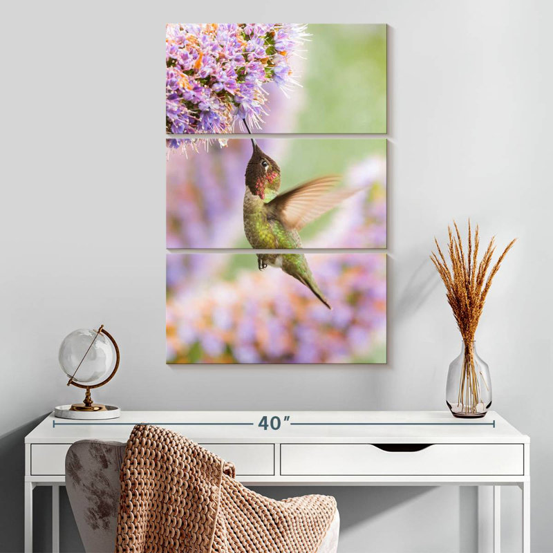 Brampt nourrissant le colibri Anna, H 65 po x l 42 po