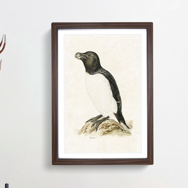 Razorbill by Von Wright - Picture Frame Painting Print, 48cm H x 36cm W x 2cm D, Walnut Framed