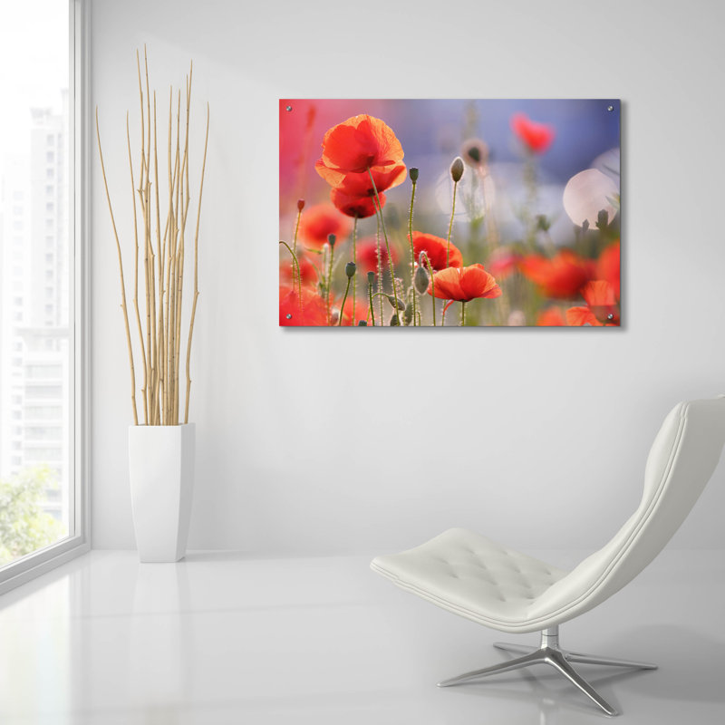 Epic Art «Poppy Delight» par Roeselien Raimond, Ac «Poppy Delight» par Roeselien Raimond, H 24 po x l 36 po x P 0,2 po