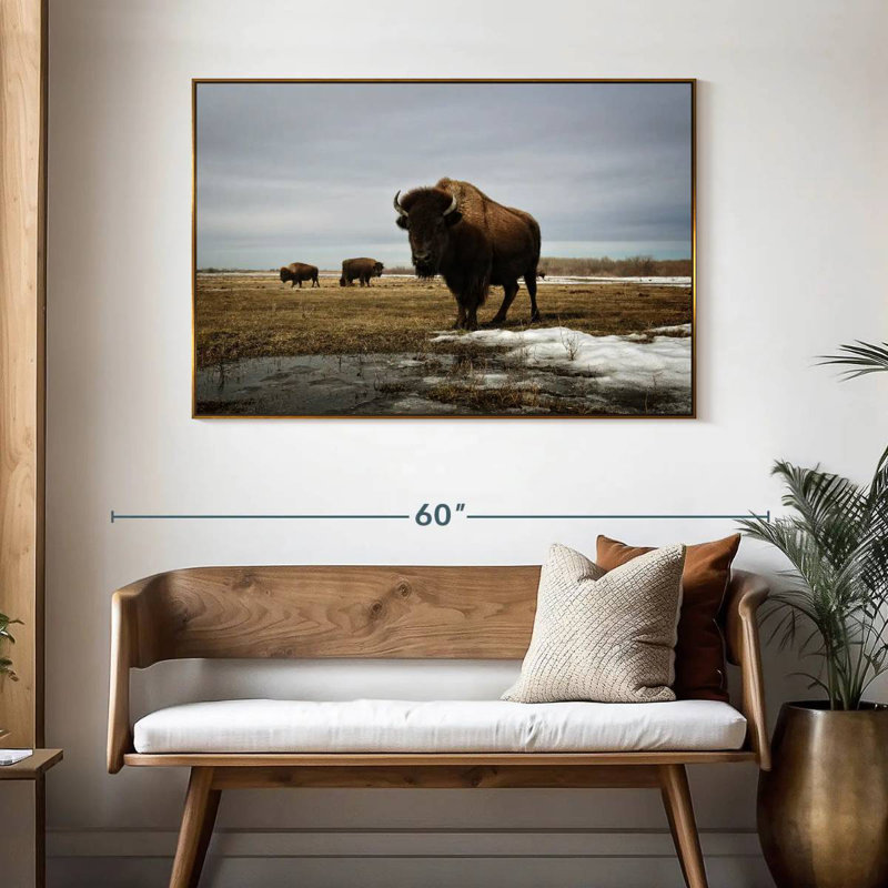 Bison Cloud Day, 46 po x 31 po, Cadre flottant doré