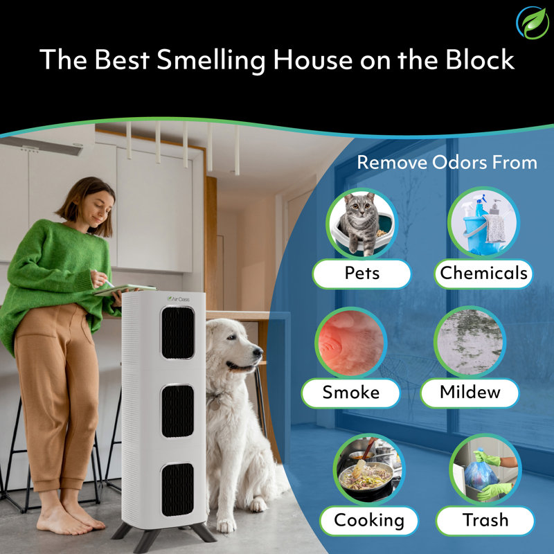 iAdaptAir 2.0 Large 5-Stage True HEPA Filtration for Viruses, Mould, Dust, Smoke, Pollen & Odours with 2 year Filter Life, Ozone Free Bi-Polar Technology, WiFi Compatible, and up to, 3,975 Sq Ft of Clean Air.