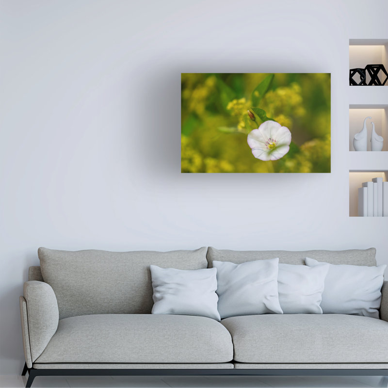 Art sur toile «bol Suzanne Bonin 2», H 12 po x l 19 po