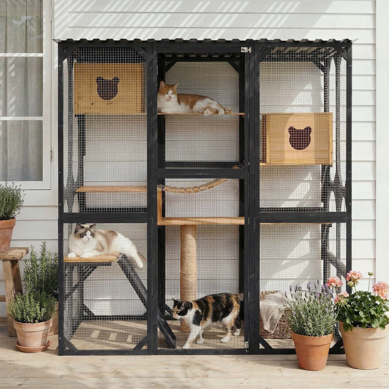 Enclos d'extérieur pour chat avec maisons de couchage, plateformes de saut et poteau à griffes pour un jeu félin sécuritaire et captivant, noir et naturel