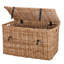 Arviso Wicker Trunk