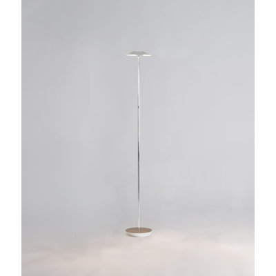 Royyo 45.5'' LED Novelty Floor Lamp