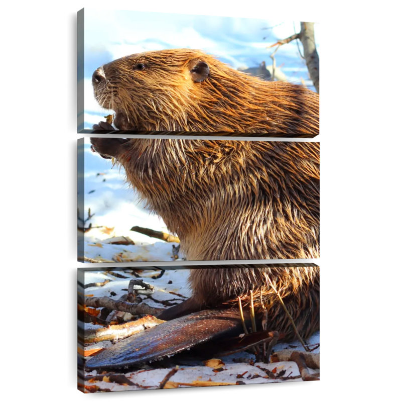 Brampt Beaver In Winter, 45" H x 28" W