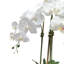 Centre de table orchidée dans un vase