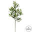 Leaf Olive Spray