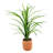 38 " H Faux Dracaena Plant