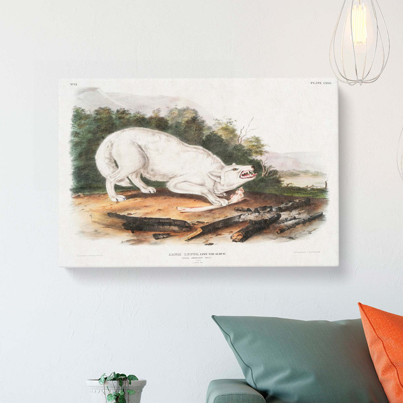 White American Wolf by J.W. Audubon - Wrapped Canvas, 40cm H x 60cm W x 3cm D