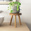 Support pour plante Abraam