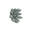 Compactum Succulent Wall Art-191860760