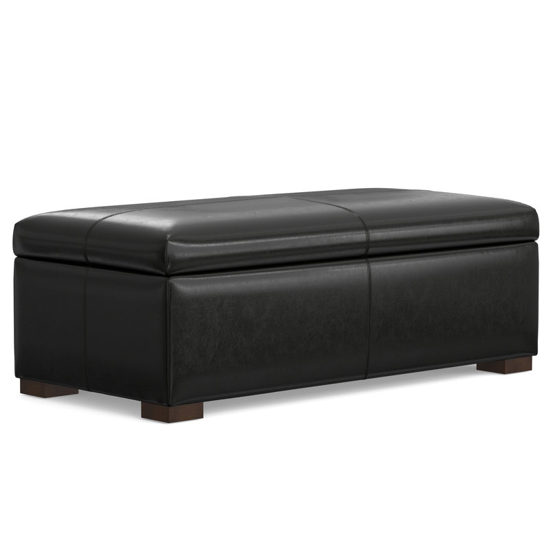 Gabbie 48"W Upholstered Vegan Leather Contemporary Rectangular Lift-Up Storage Ottoman Bench with Hidden Storage, Black