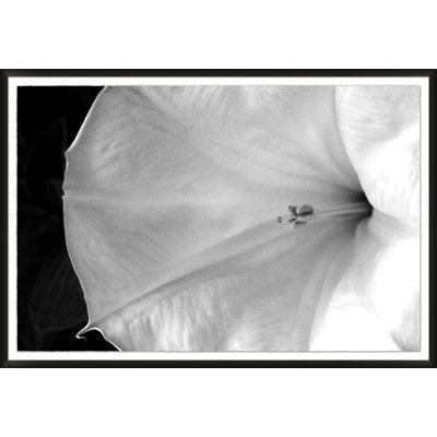 Abstracted Floral 1' Framed Photographic Print on Glass