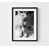 Framed Print with Mat n'est pas disponible