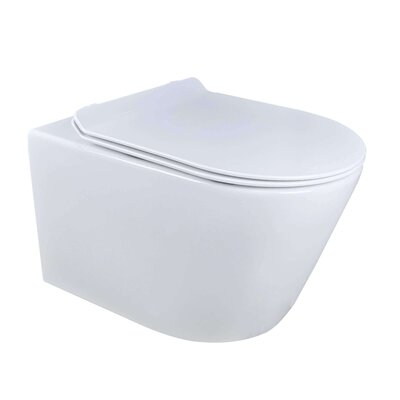 Dakota Dual-Flush Elongated Wall-Mount Toilet with Glazed Surface (Seat Included) -  Fine Fixtures, CT04-WT24RM-CTAM11SN