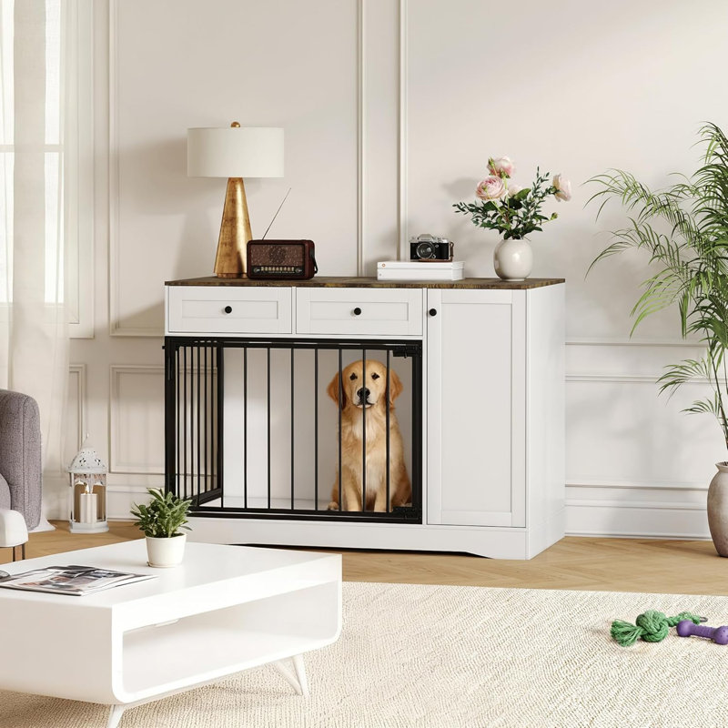 Dog House